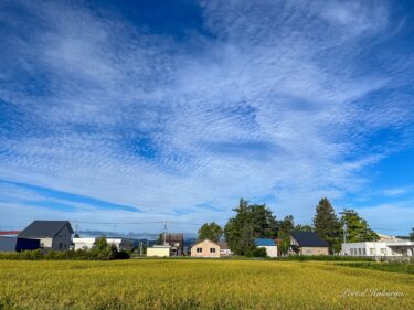 空高く薄雲広がる秋の空