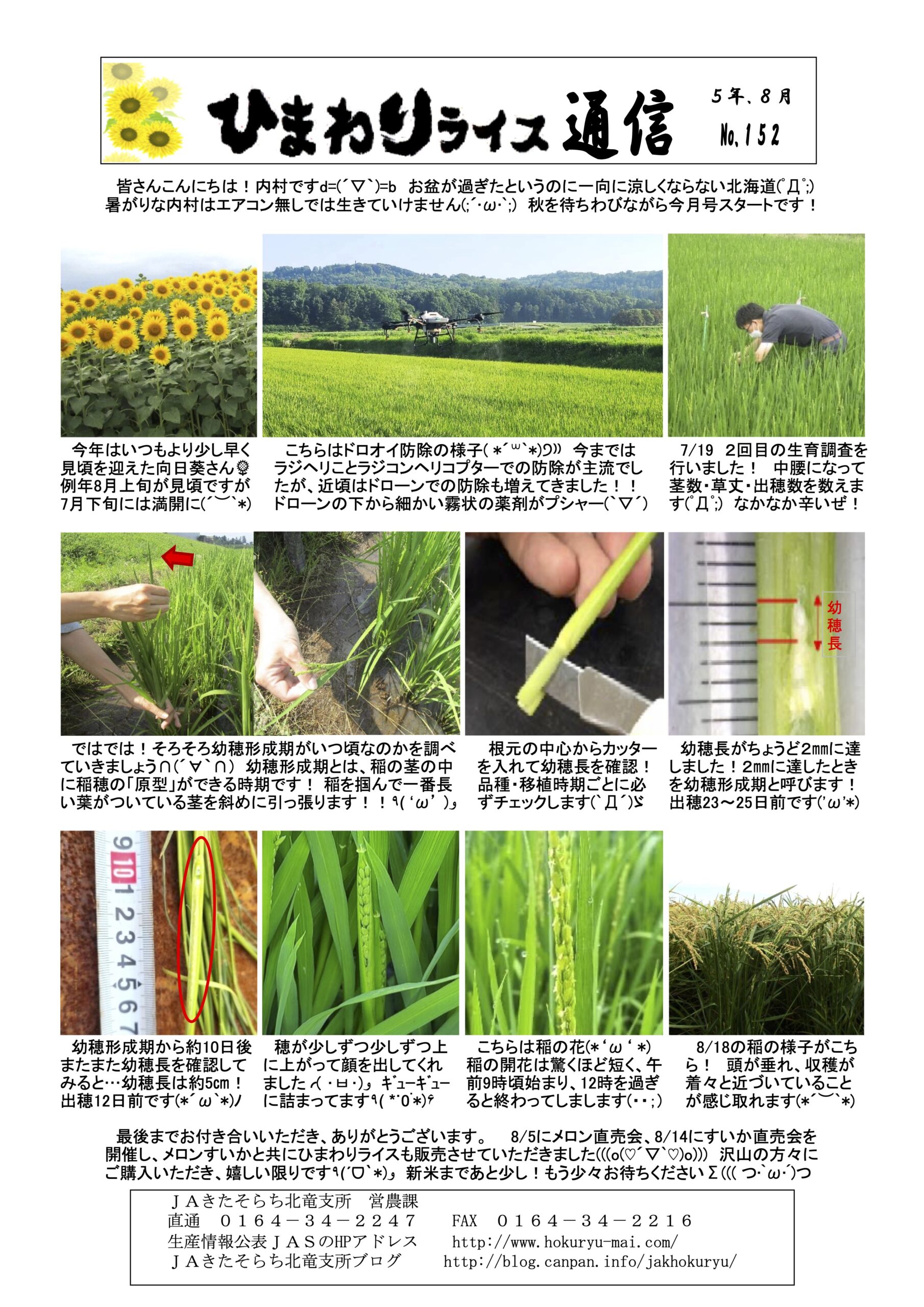 ひまわりライス通信 No.152・令和5年8月