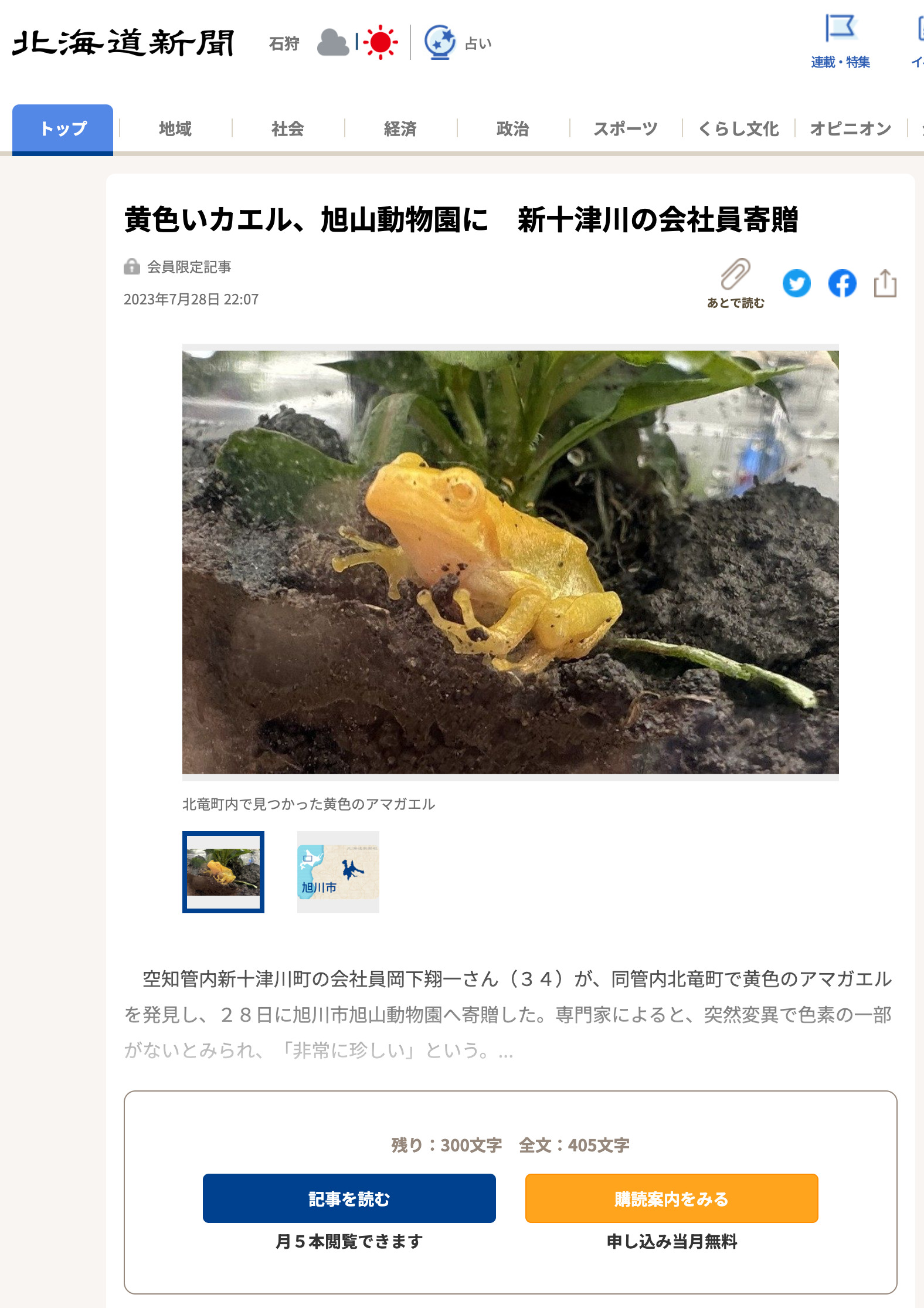 北竜町で発見:黄色いカエル、旭山動物園に 新十津川の会社員寄贈【北海道新聞】