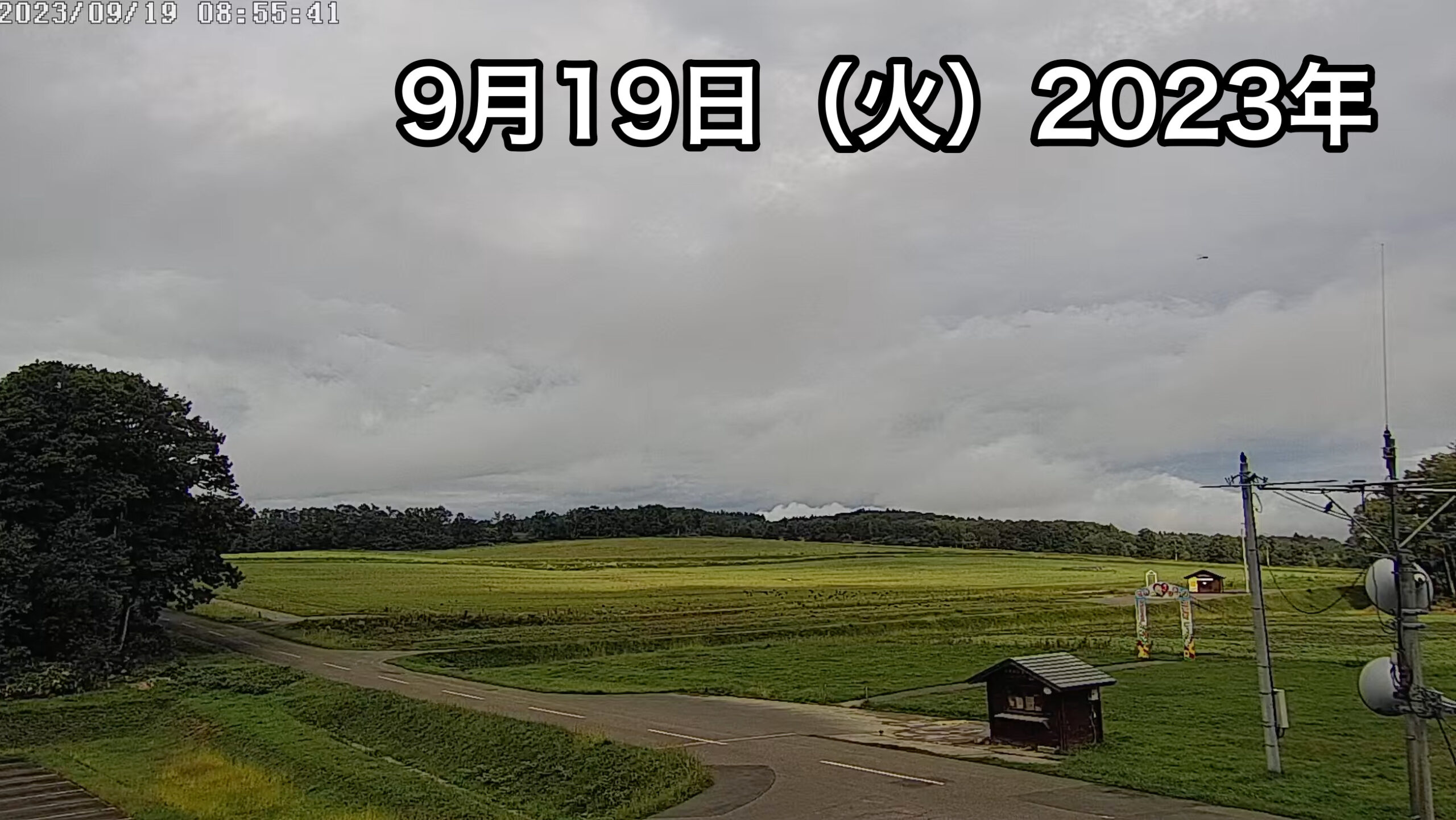 北竜町ひまわり観光協会 のライブ配信