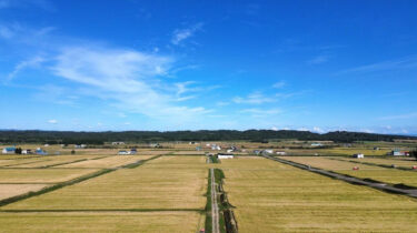 9月16日（土）☀️ ▶︎▶︎ すっかり秋になりました 🌾 ほのかのある北竜町美馬牛地区は 8日から稲刈りをやっています‼︎【農事組合法人ほのか】