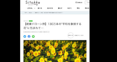 【絶景ドローン旅】130万本の”平和を象徴する花”に包まれて…【HBC・Shitakke したっけ】