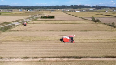 Sabtu, 16 September ✨ ▶︎▶︎ Fotografi drone saat memanen padi ② Memanen padi di musim gugur yang cerah ♪ Sungguh menyedihkan karena banyak tanaman padi tumbang tahun ini ~ 💦 [Perusahaan Koperasi Pertanian Honoka]