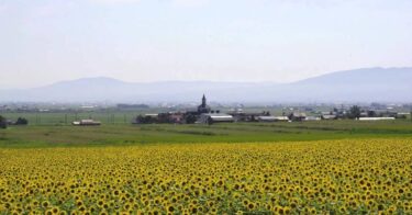 もう12年前の事なんですね。 写っているみんなが若い🥰「いのちの歌＠北竜町ひまわりコーラス 2011」【北竜町ひまわりコーラス】