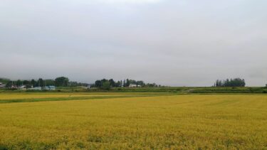 北竜町長 佐野豊 活動報告・9月5日（火）上・北海道森林管理局長他来訪、ＪＡ木野（ハピオ店）石田店長来訪