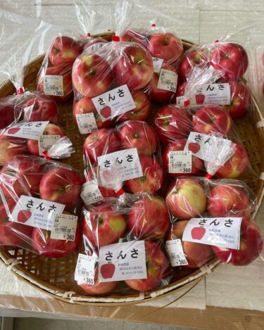 แอปเปิ้ลชุดแรกมาถึงแล้ว แอปเปิ้ลซานซ่ามีรสเปรี้ยวหวานและอร่อยมาก เรายังมีฟักทองให้เลือกมากมาย ♪ [Minorich Hokuryu]