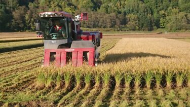 北竜町長 佐野豊 活動報告・9月14日（木）令和４年度決算審査特別委員会