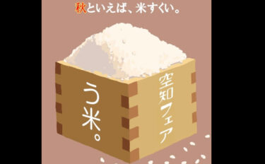 10月13日〜14日までの2日間で札幌駅1階ステラプレイスにあります北海道四季マルシェにて新米のすくい取りや黒千石大 豆、ひまわり油の販売を致します ✨【北竜町ひまわり観光協会】