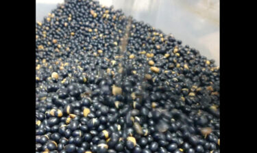 黒千石どん：そのまま食べても美味しい お茶にしても美味しい 豆ご飯にしても美味しい 身体の中から健康にー【黒千石事業協同組合常務】