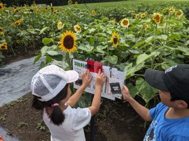 मैंने एक रहस्य सुलझाने वाला प्रोजेक्ट किया ⑥ इसे आज़माने के बाद मेरे विचार [होकुर्यु टाउन (ताकेबयाशी त्सुकासा) का एक किसान]
