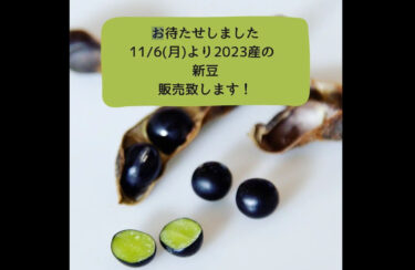 Cảm ơn sự kiên nhẫn của bạn. Đậu mới # sản xuất năm 2023 sẽ được bán từ ngày 6 tháng 11 (Thứ Hai) [Giám đốc Điều hành Hợp tác xã Kinh doanh Kurosengoku]