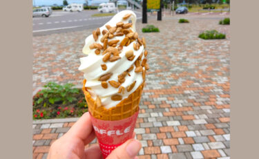 今回ご紹介するのは北竜町の道の駅「サンフラワー北竜」で販売されている「ひまわりソフト」です（もちろん通年販売！）🍦【おいでよ！空知（そらち）／北海道空知総合振興局】
