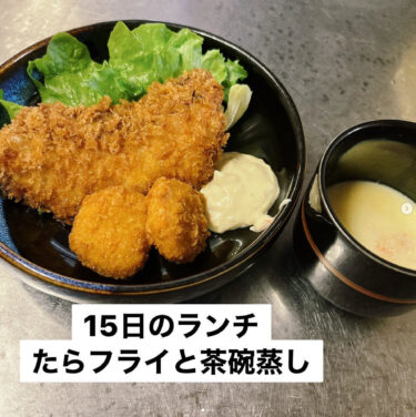 🌻 11月15日（水）本日の日替わりランチ：たらフライと 茶碗蒸しのセットでした 😌【お食事処向日葵】