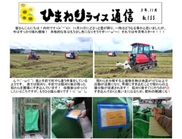 Ayçiçeği Pirinç Bülteni No. 155, Kasım 2023 [JA Kitasorachi Hokuryu Şubesi]