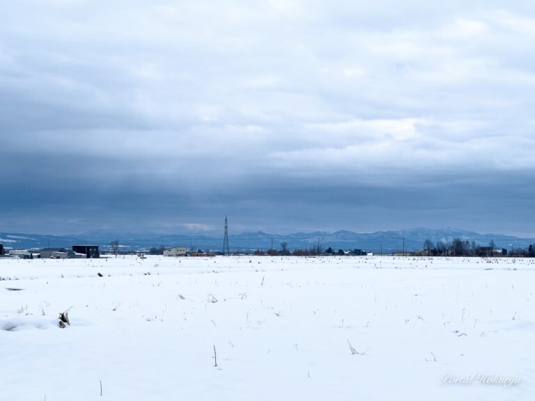 初雪から白銀の雪景色へ