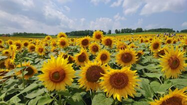 北竜町長 佐野豊 活動報告・11月9日（木）特老『永楽園』経営改善協議