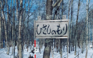 Kondisi hutan pada tanggal 8 Desember. Hujan pada hari sebelumnya tampaknya telah mencairkan salju. Kami berharap banyak orang akan menikmati hutan lagi tahun depan. ・・・・[Organisasi Kegiatan Hutan Abadi (Presiden: Osamu Kato)]