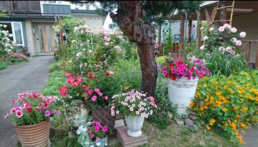 北竜町長 佐野豊 活動報告・12月15日（金）町長候補佐々木康宏後援会事務所開き、HBCラジオ『ろうかるナビです』収録、グリーンハウス支社長代理年末挨拶