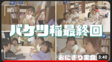 [İş Tanıtımı #10] Kova pirincinin son bölümü! Kendimiz yetiştirdiğimiz pirincin tadı nasıl? ? [Kitasora Kanalı]