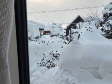 北竜町長 佐野豊 活動報告・12月26日（火）北竜町農業振興協議会