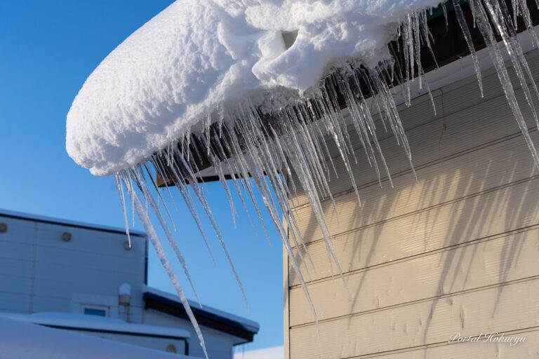 氷のアート「氷柱」