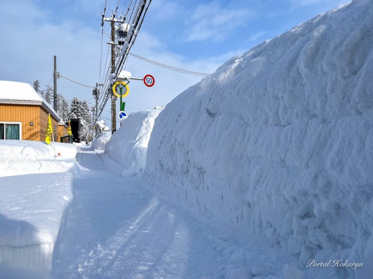 高い雪壁