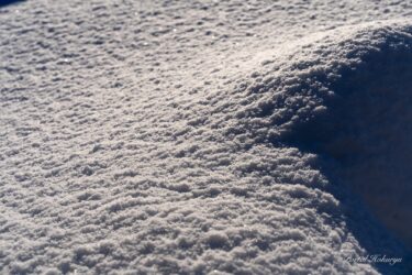 雪原に煌めく雪粒の輝き