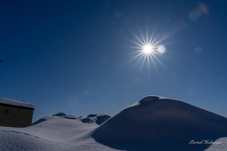 青天白日の閃光