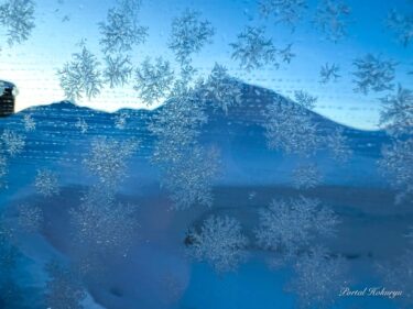 六根が研ぎ澄まされる「六つの花」