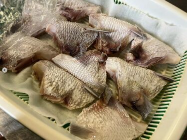 🌻 2月15日（木）本日の日替わりランチ：鯛カマの塩そばでした！ 鯛のアラで出汁を取ってカマを乗せました！【お食事処向日葵】