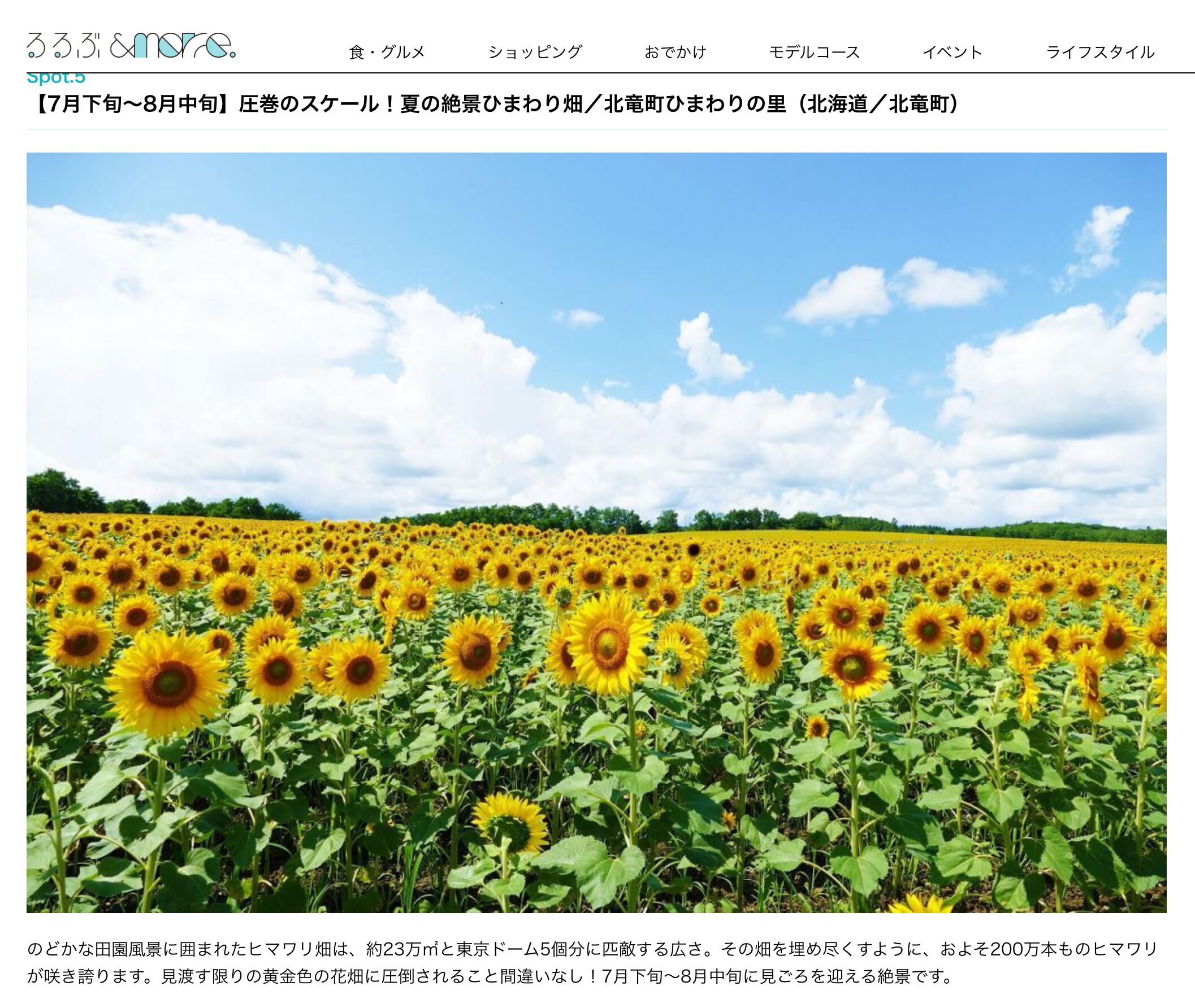 【感謝!北竜町ひまわりの里を紹介していただく!】全国のおすすめ花畑38選|一度は見てみたい!映える、花畑の絶景スポット【るるぶ&more.】