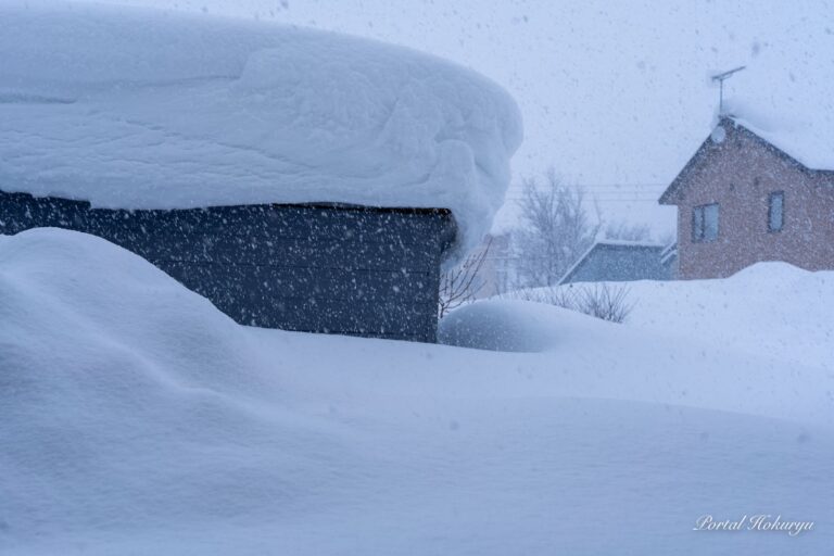 Snowy winter scenery