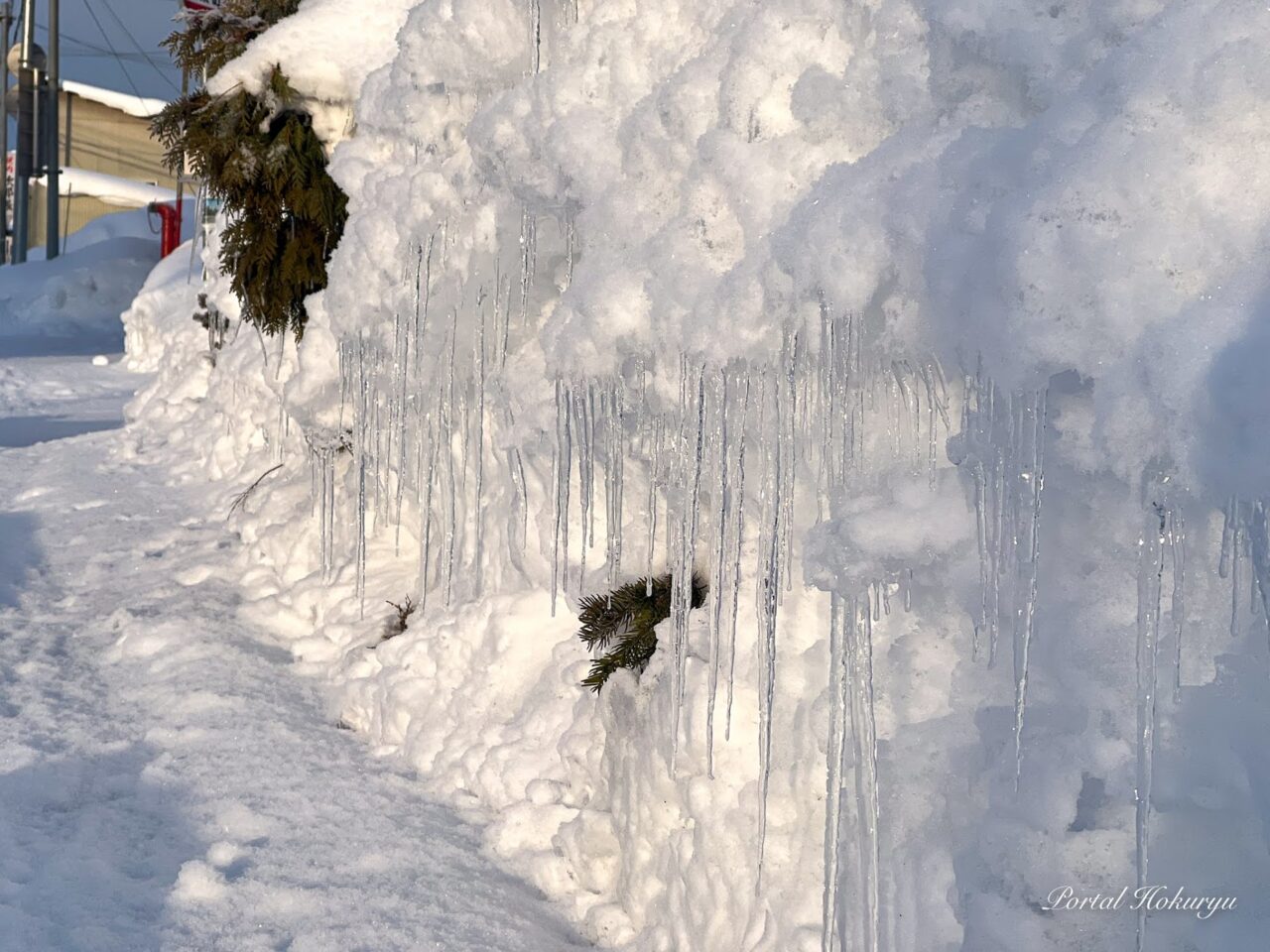 雪解雫（ゆきげしずく）の氷柱アート