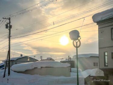 春を想わせる日差し