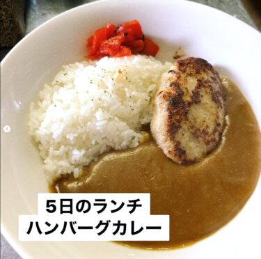 🌻 5 Mart (Salı) Bugünün öğle yemeği: Hamburger köri 🍛 ♪ [Himawari Restaurant]