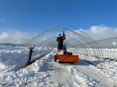 वसंत ऋतु का काम सोमवार, 11 मार्च से शुरू हो रहा है ☺︎ सुरक्षित, स्वस्थ और खुश रहें! [होनोका कृषि सहकारी संघ]