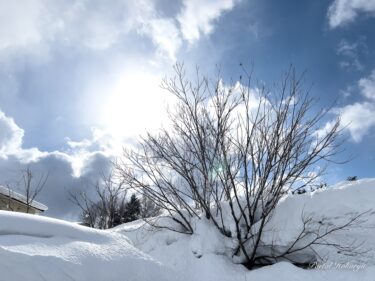 啓蟄の候のあたたかな光！