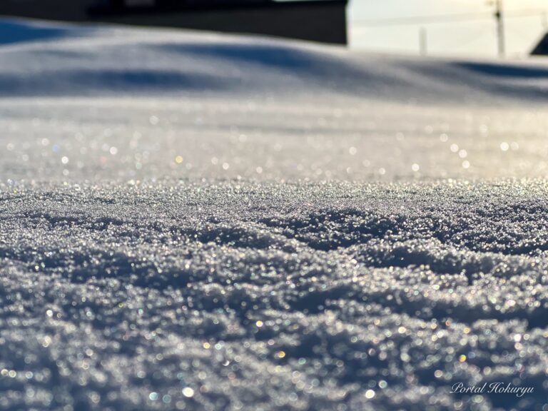 A gift from the snowfield