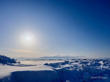 麗らかな春の陽射し