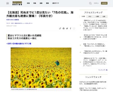 感謝！北竜町ひまわりの里を紹介していただきました：【北海道】死ぬまでに1度は見たい「7色の花畑」、海外観光客も絶景に驚嘆！〈写真付き〉地球の歩き方編集室【ダイヤモンド・オンライン】