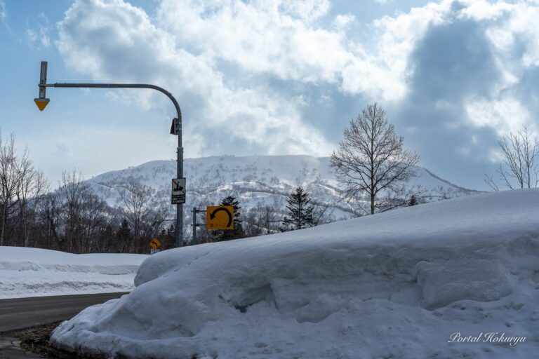 白く平らにそびえる恵岱岳