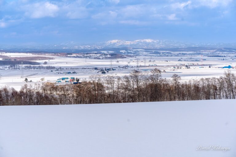 Şəhərə baxan bahar mənzərəsi