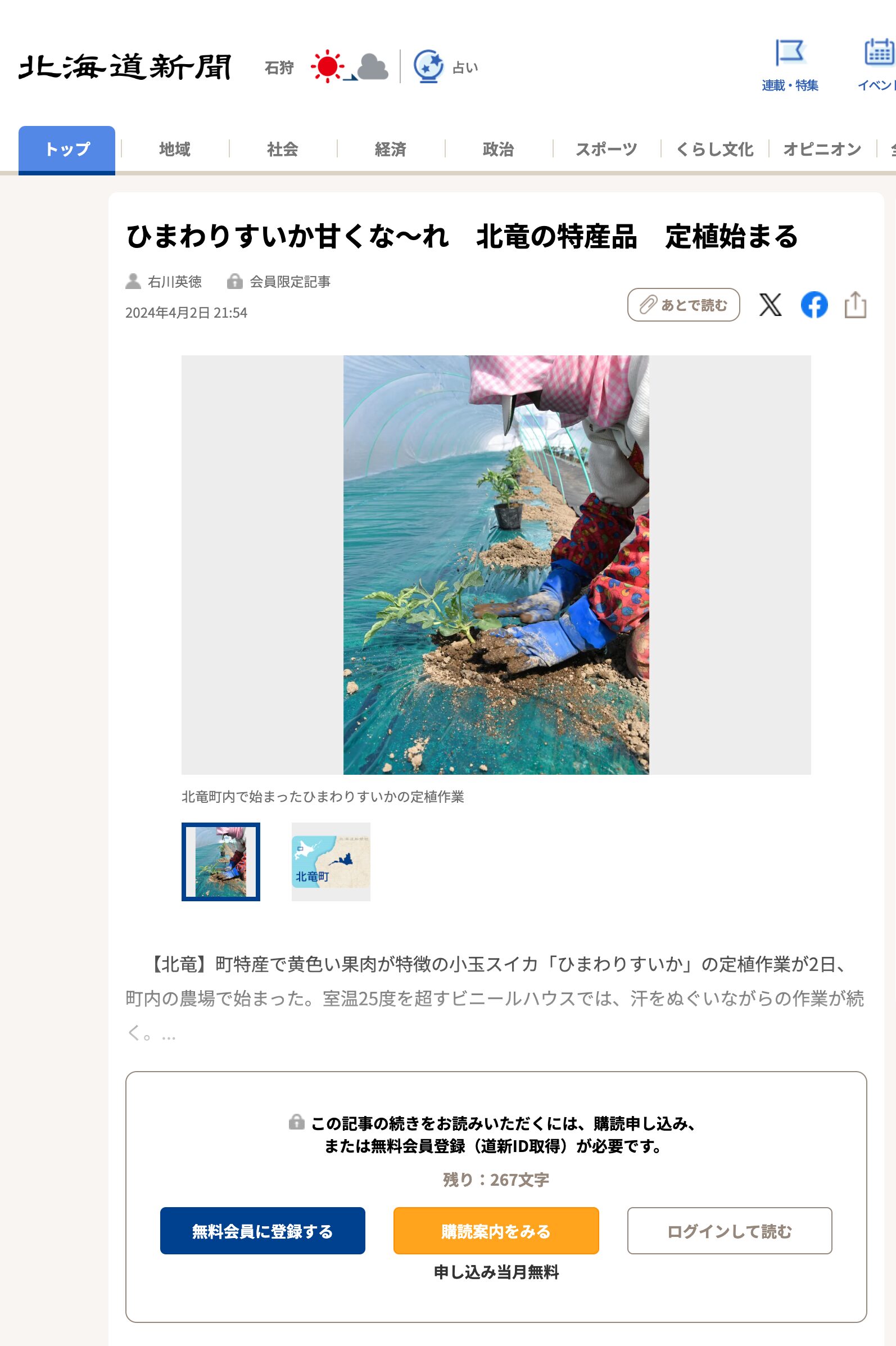 ひまわりすいか甘くな～れ　北竜の特産品　定植始まる【北海道新聞デジタル】