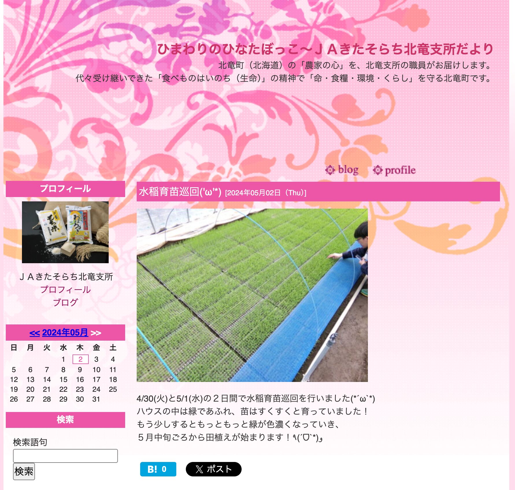 4/30(火)と5/1(水)の２日間で水稲育苗巡回を行いました。ハウスの中は緑であふれ、苗はすくすくと育っていました！【ＪＡきたそらち北竜支所】