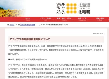 ช่วงส่งเสริมการจับแรคคูนในฤดูใบไม้ผลิ [เว็บไซต์เมืองโฮคุริว]