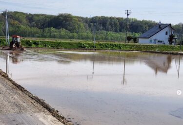 5月11日（土）真竜小学校5年生対象・体験田んぼの代かき仕上げが終わりましたぁ。21日（火）子供たちの田植えです。晴れることを祈ります【（株）高田】