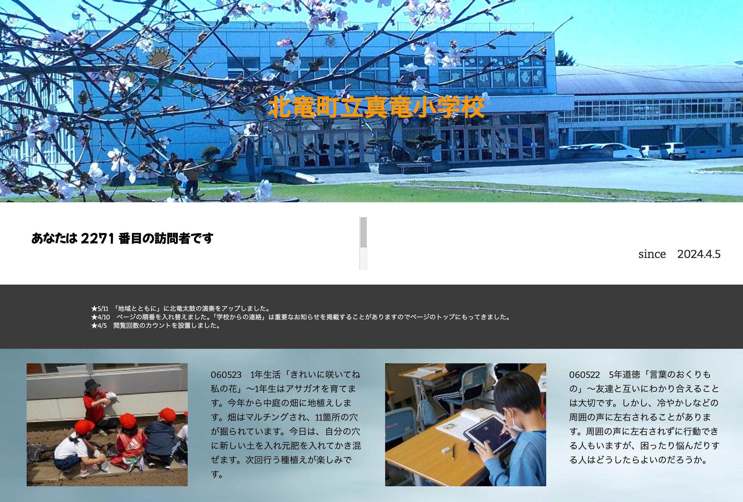 5月23日（木）1年生活「きれいに咲いてね私の花」～1年生はアサガオを育てます。今年から中庭の畑に地植えします。畑はマルチングされ、11箇所の穴が掘られています【真竜小学校】