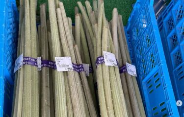 5月25日（土）土曜日の本日、色々な品物が揃っています ♪ 山菜のふき、うど、わらびとあります。 レタス 🥬、キャベツ、キューリ、アスパラ、カブと入りました【みのりっち北竜】