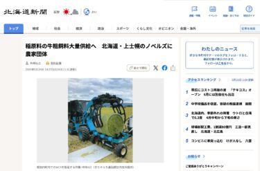 稲原料の牛粗飼料大量供給へ　北海道・上士幌のノベルズに農家団体【北海道新聞デジタル】