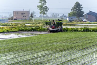 田植えスタート！尊い苗たちの健やかなる成長を心より祈って